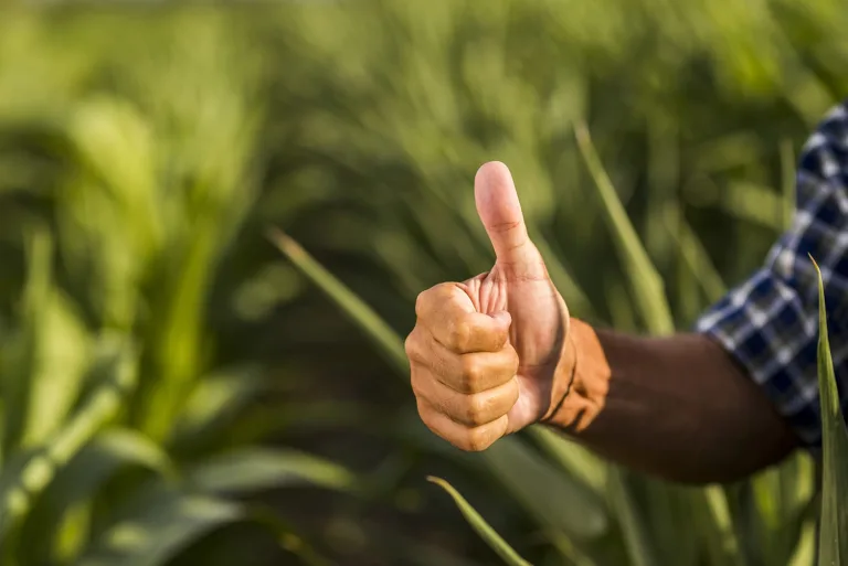 Crean plataforma gratuita para ofrecer y buscar empleos en el sector agrícola Crean plataforma gratuita para ofrecer y buscar empleos en el sector agrícola