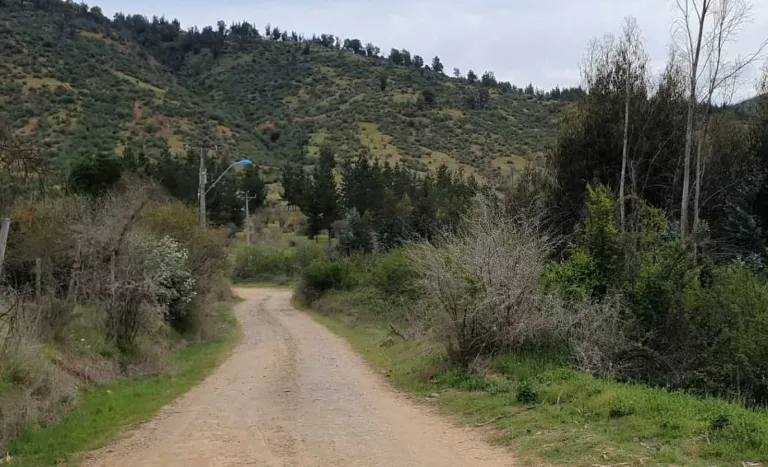 Luzmira Albornoz aborda la necesidad de más apoyo estatal en sectores rurales de la Provincia de Curicó Luzmira Albornoz aborda la necesidad de más apoyo estatal en sectores rurales de la Provincia de Curicó