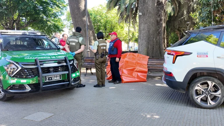 Adulto mayor es encontrado fallecido en plaza de armas de Molina Adulto mayor es encontrado fallecido en plaza de armas de Molina