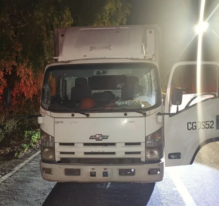 Carabineros de Curicó detiene a dos sujetos por abigeato en Rauco y recupera animales sustraídos Carabineros de Curicó detiene a dos sujetos por abigeato en Rauco y recupera animales sustraídos