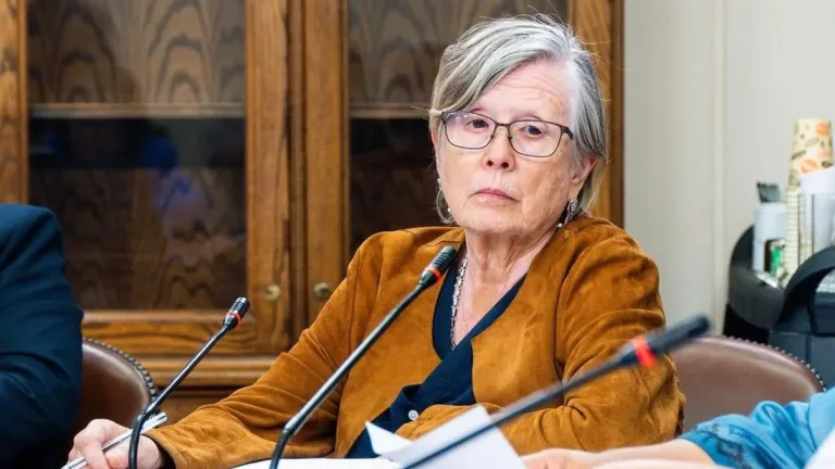 A los 74 años fallece diputada y reconocida abogada de DDHH, Mercedes Bulnes