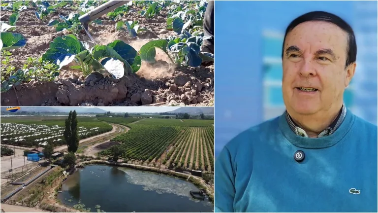 Curicó Sostenible: Analizando el Impacto del Cambio Climático en la Agricultura con el Profesor Patricio González de la Universidad de Talca (Video)