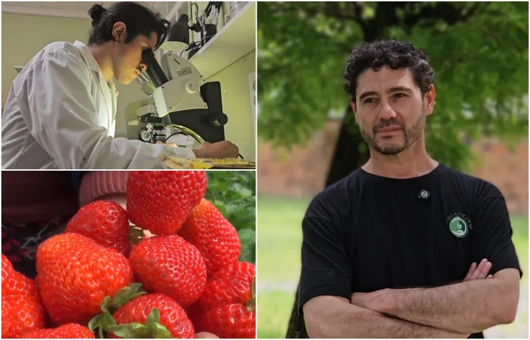 «Curicó Sostenible»: Un Enfoque en Agroecología y Sustentabilidad con Carlos Pino director del Centro de Investigación y Desarrollo de Agroecología (Video)