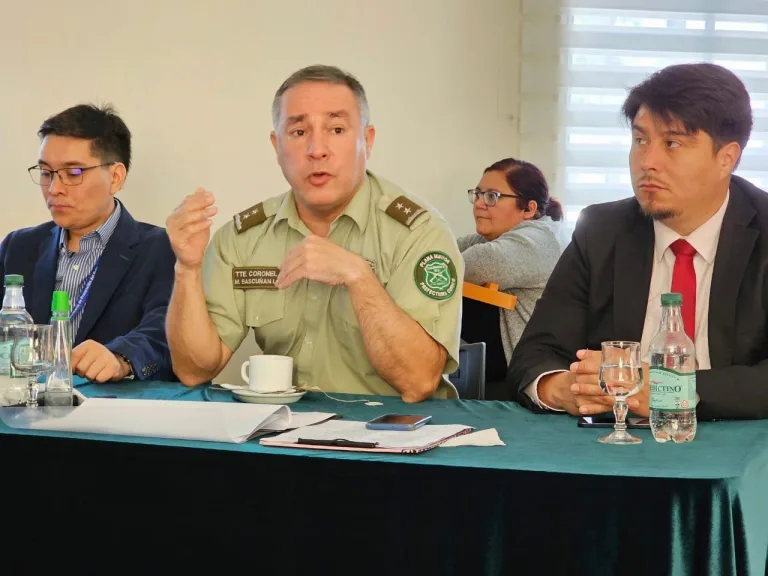 En un -13% disminuyeron los delitos en la provincia de Curicó En un -13% disminuyeron los delitos en la provincia de Curicó