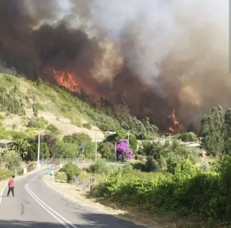 Declaran Alerta Roja en la Región de O’Higgins por incendio forestal en Navidad