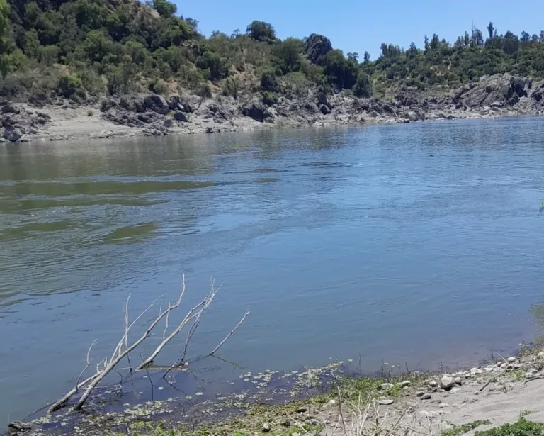 Hombre desaparece en las aguas del río Loncomilla en medio de jornada deportiva en San Javier