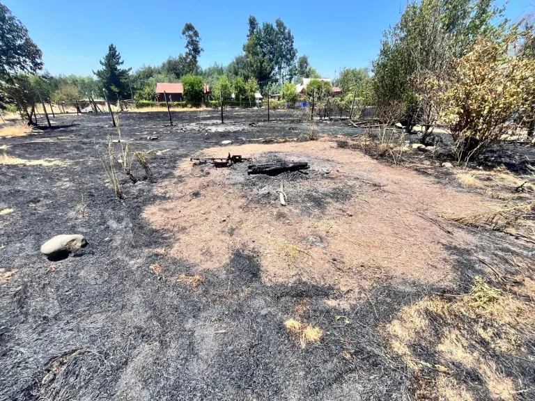 Adulto mayor es formalizado por quema de pastizales no autorizado en San Clemente