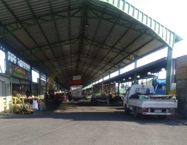 Denuncian pérdida de más de 1.600 millones en la Vega Mercado de Rancagua