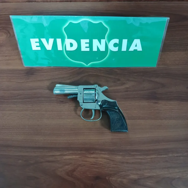 En Cauquenes: Carabineros detuvo a sujeto por porte ilegal de arma de fuego tras persecución