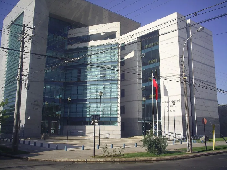 Corte de Apelaciones de Talca confirma inadmisibilidad de querella presentada por el municipio de Curicó contra Susana Padilla por caso de maltrato animal