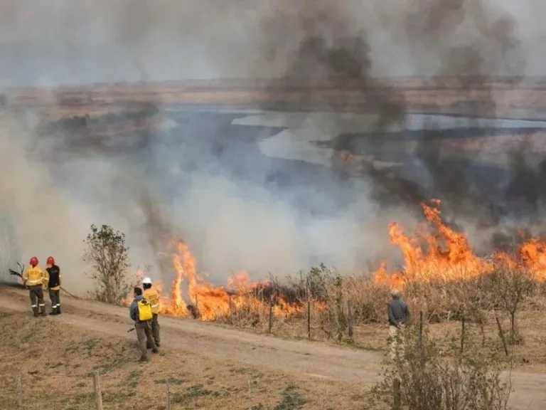 CONAF prohíbe quemas de pastizales en diversas regiones del país a partir de hoy