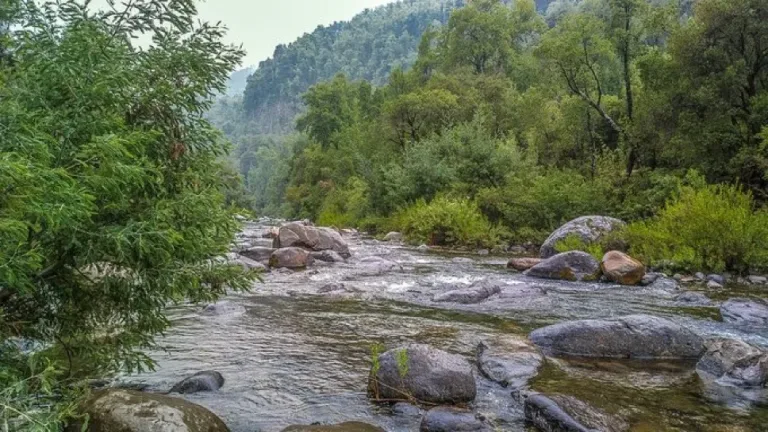 Encuentran sin vida a hombre extraviado en Potrero Grande, investigan las causas de su fallecimiento