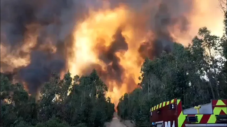 Director de Senapred Maule entrega balance de incendios forestales durante el feriado navideño