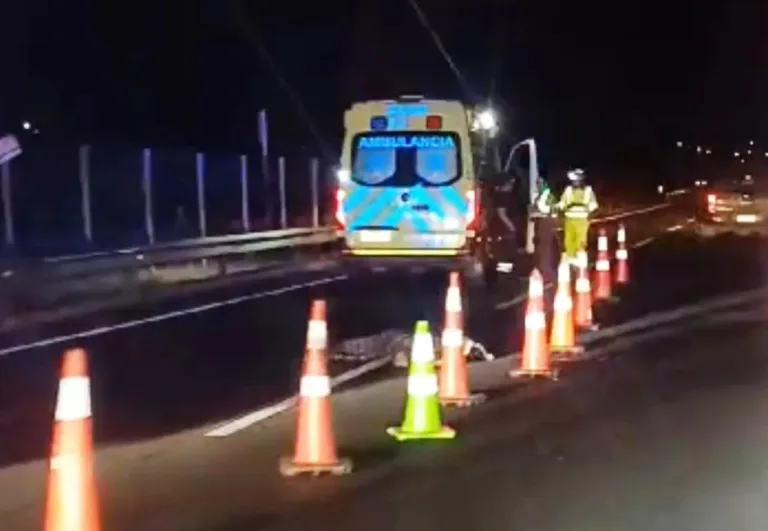 Peatón pierde la vida tras ser atropellado en la Ruta 5 Sur, sector Peaje de Quinta