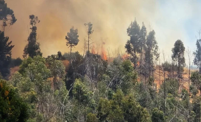SENAPRED Declara Alerta Roja en Pumanque por Incendio Forestal