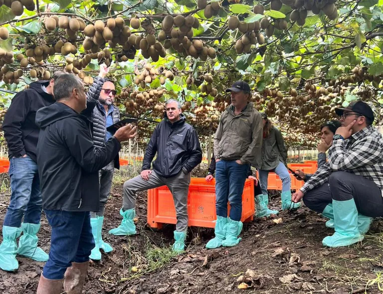 Últimos días para postular al financiamiento para la innovación agroalimentaria y silvoagropecuaria en la Región del Maule