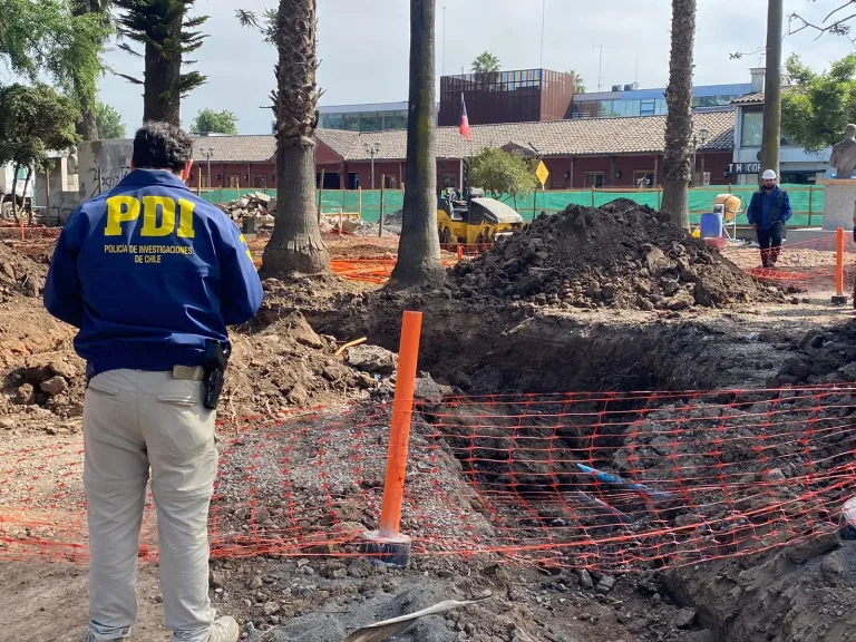 Confirman que restos óseos hallados en Plaza de Santa Cruz son de origen animal