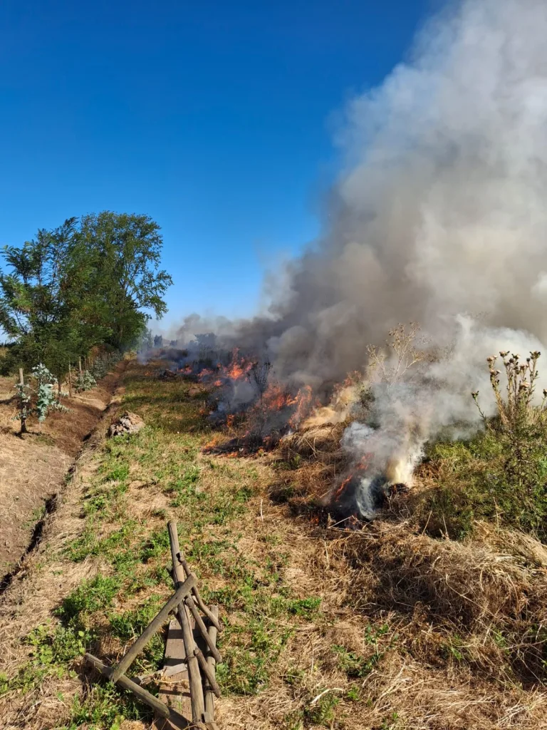 Detienen a sujeto que realizó quema en periodo de restricción total de uso de fuego en Teno