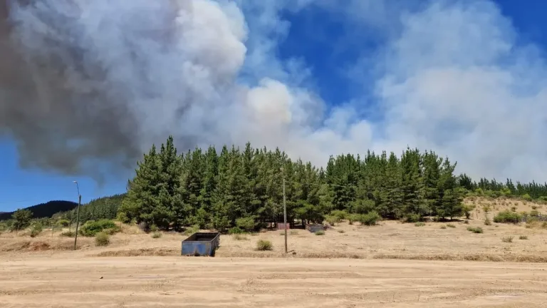 Declaran Alerta Temprana Preventiva en la Región del Maule por amenaza de incendios forestales