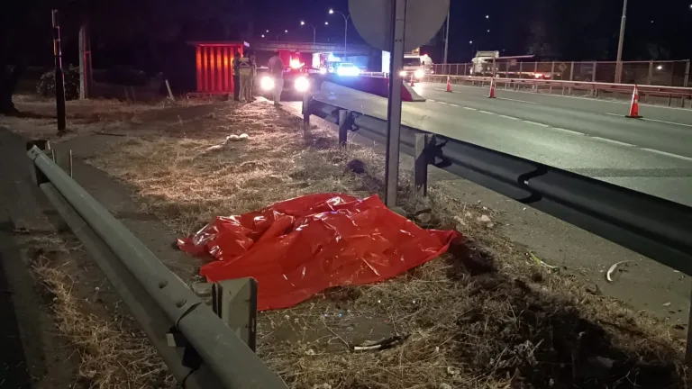 Hombre fallece tras ser atropellado en la Ruta 5 Sur, sector Linares