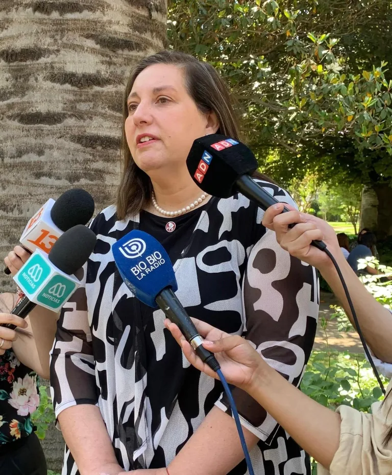 Senadora Vodanovic califica como “insostenible” la exclusión de Curicó del Plan Calle Sin Violencia tras aumento del 375% en homicidios