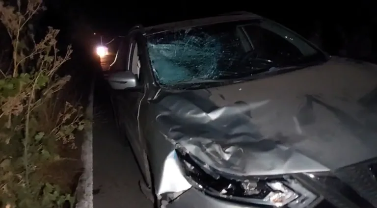 Ciclista fallece tras ser atropellado por conductora bajo los efectos del alcohol en Curicó