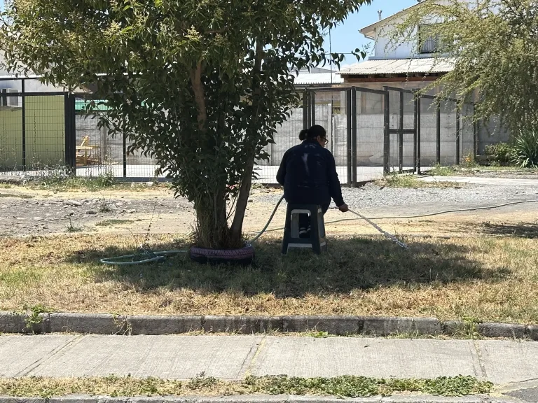 Vecinos de Curicó expresan preocupación por riego de áreas verdes en horarios de alta temperatura