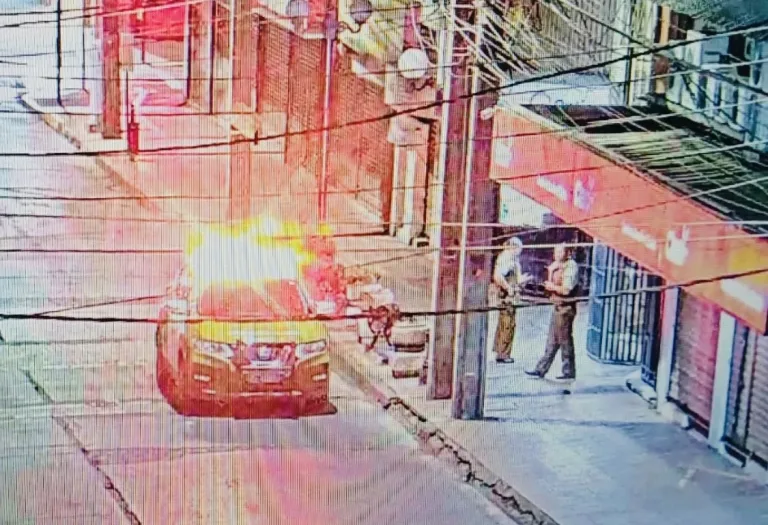 Coordinación entre Cámaras Municipales y Carabineros permitió la detención de un sujeto por robo en Curicó