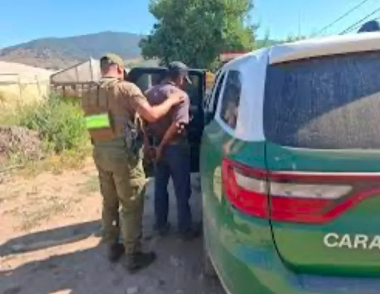 Detienen a agricultor como presunto responsable del incendio forestal en Vichuquén