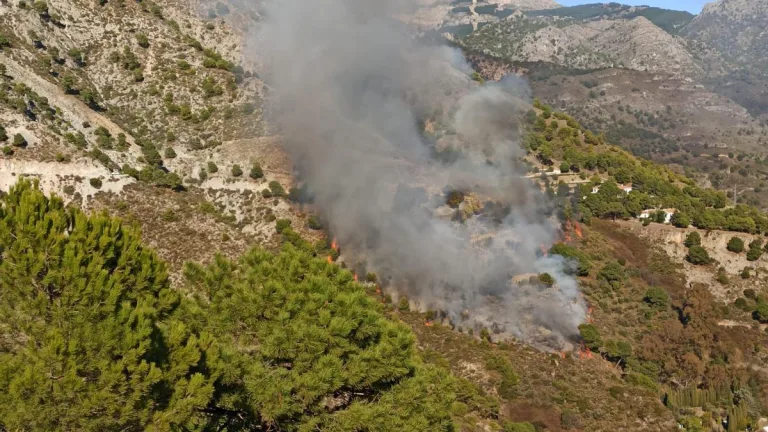 Formalizan a imputado por incendio forestal provocado tras tronadura en Rauco