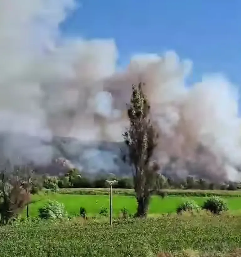 Alerta Roja por incendio forestal en sector Paula en la comuna de Curepto