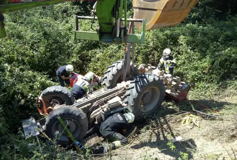 Operario fallece en accidente laboral en faena forestal en Curepto