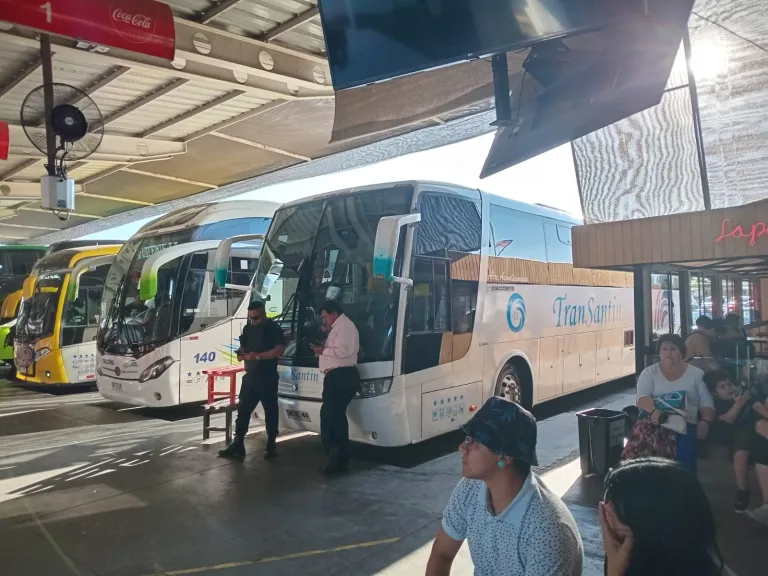 Pasajero es hallado sin vida al interior de un bus en el terminal de buses de Rancagua