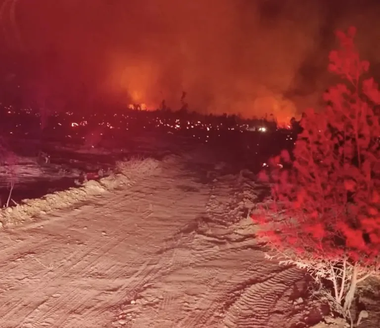 Continúa el combate para controlar incendio forestal en la Ruta del Ácido en la región de O’Higgins