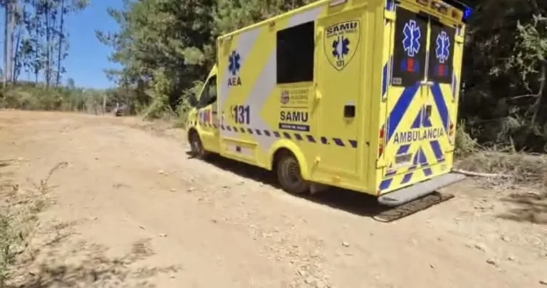 Hombre fallece en accidente forestal en Curanipe