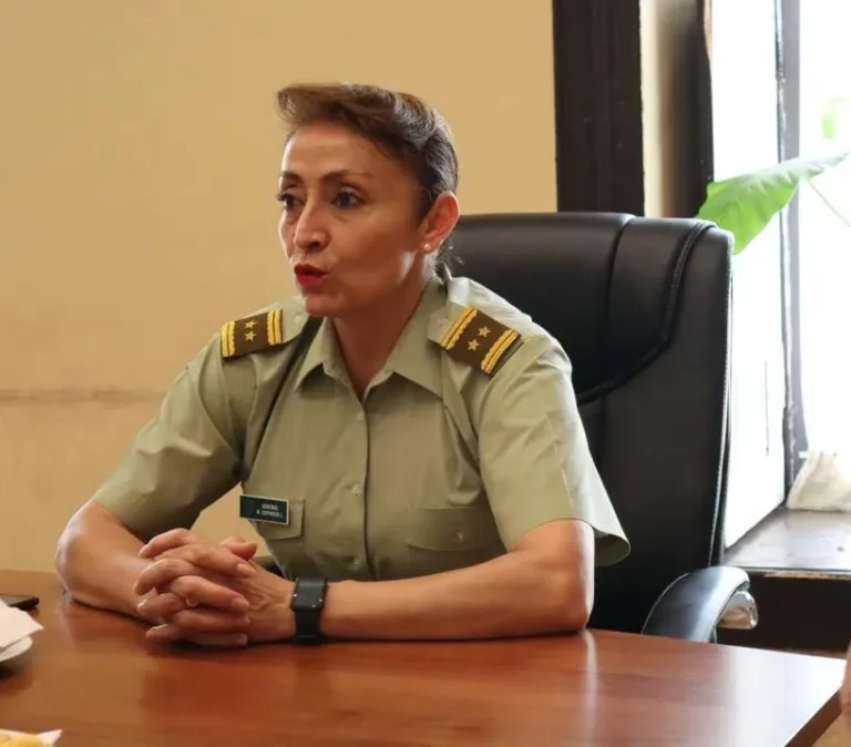 General Maureen Espinoza Reconoció a Carabinero por su Valentía en el Auxilio de una Víctima en Curicó