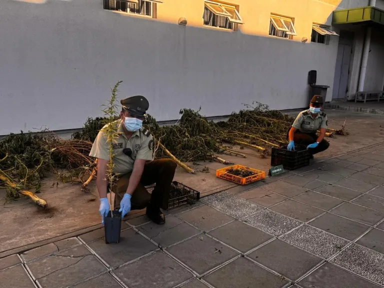 Carabineros detiene a sujeto por infracción a la ley de drogas en la localidad de Digua en Parral