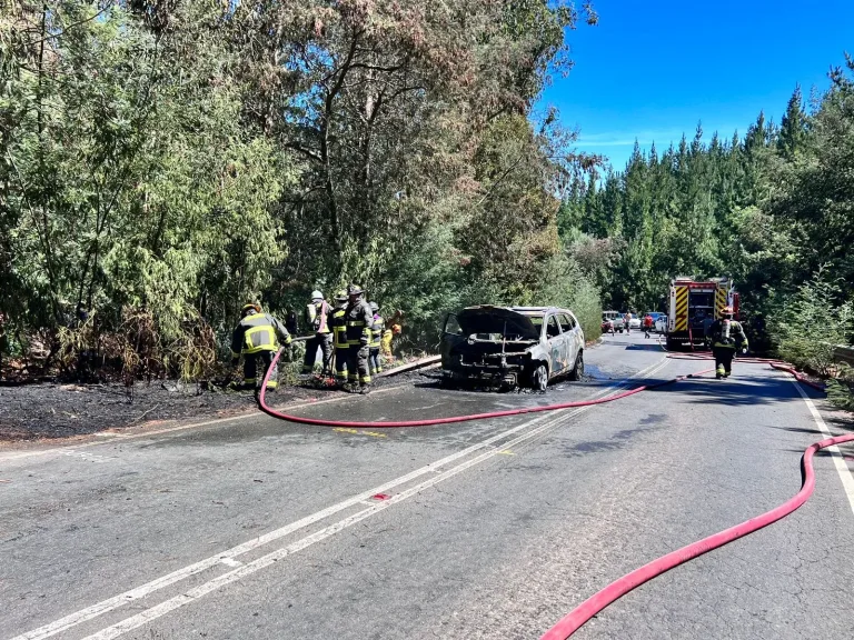 Incendio de vehículo en la Ruta 90 genera emergencia forestal en Pichilemu