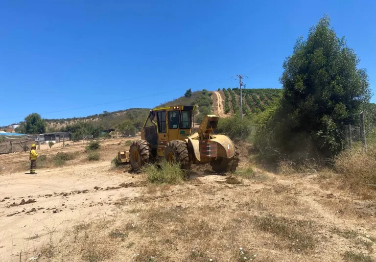 Avances significativos en la construcción de cortafuegos en la Región de O’Higgins para combatir incendios forestales Avances significativos en la construcción de cortafuegos en la Región de O’Higgins para combatir incendios forestales