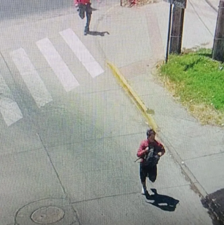 Cámaras de seguridad permiten detención de sujeto que robó en estación de servicio en Curicó