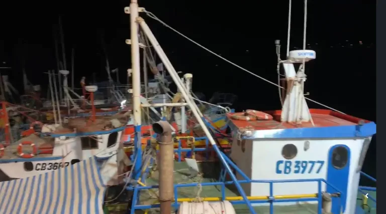 Pescador fallece tras caer a las aguas del río Maule en Constitución: PDI investiga circunstancias del hecho