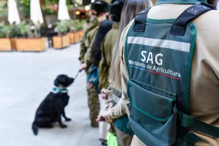 Funcionarios del SAG anuncian paro nacional en protesta por recorte presupuestario Funcionarios del SAG anuncian paro nacional en protesta por recorte presupuestario