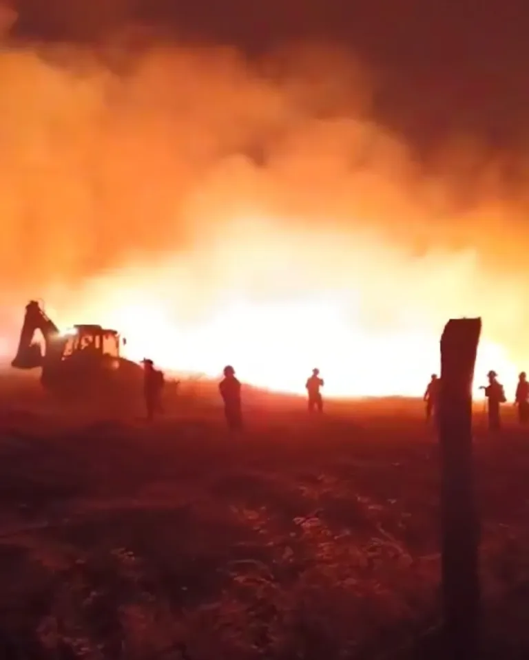 SENAPRED entrega balance sobre incendios forestales en el país y reitera alarmas meteorológicas vigentes