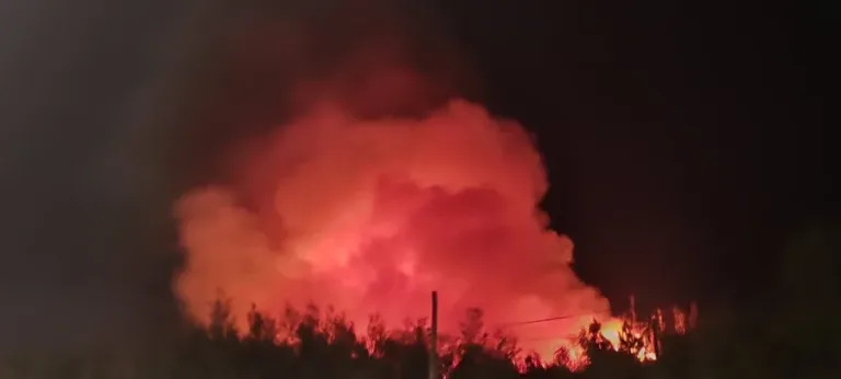 Bomberos de Chile se movilizan para combatir incendios forestales en La Araucanía y Ñuble