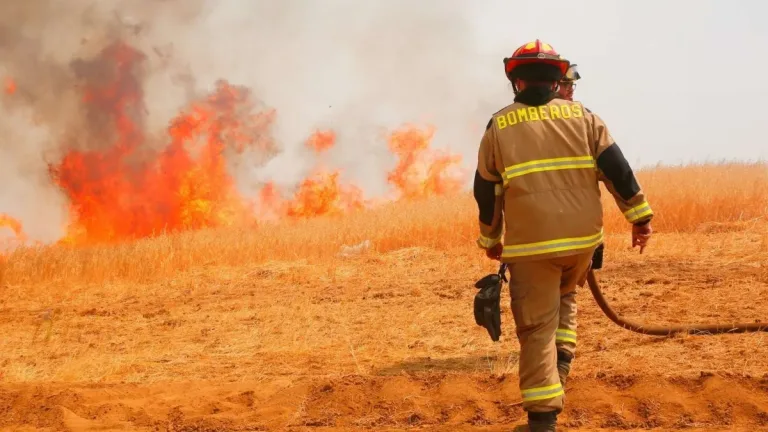 Declaran Alerta Roja por incendio forestal en la comuna de Molina