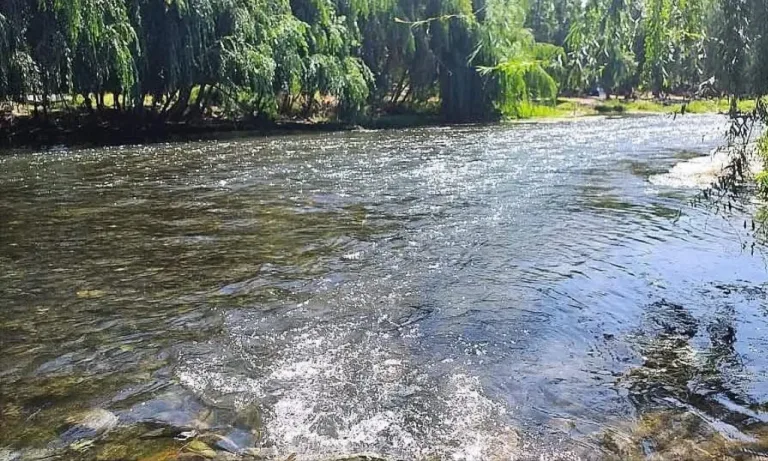 Menor de dos años fallece tras caer a un canal en Malloa