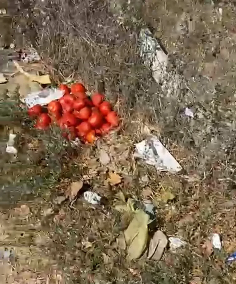 Vecinos de sector Feria Libre de Curicó expresan preocupación por acumulación de basura (Video)