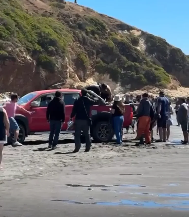 Trágico accidente en Cobquecura: Surfista fallece tras ser impactada por un bote de pescadores