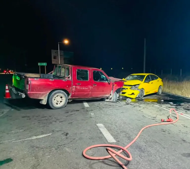 Confirman fallecimiento de menor tras trágico accidente en Lolol