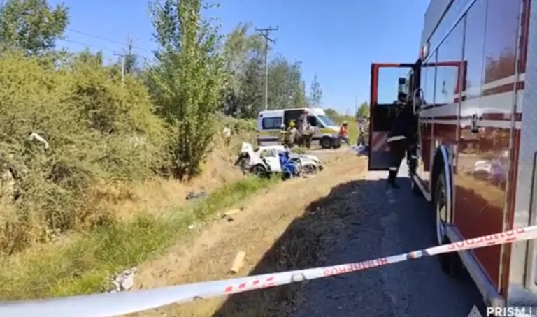 Volcamiento fatal en ruta L-128, Parral: Un fallecido y dos heridos